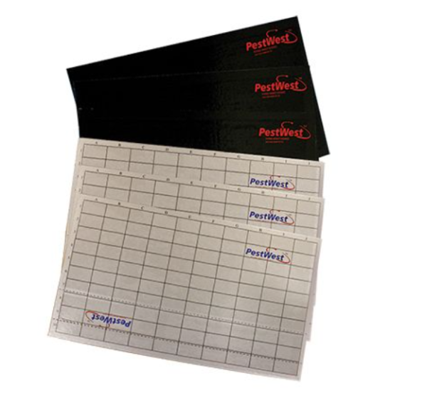 PestWest® LED Range Glue Board