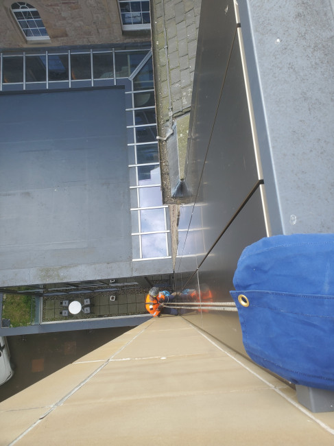 Why Choose A Z Environmental For Commercial Bird Control?