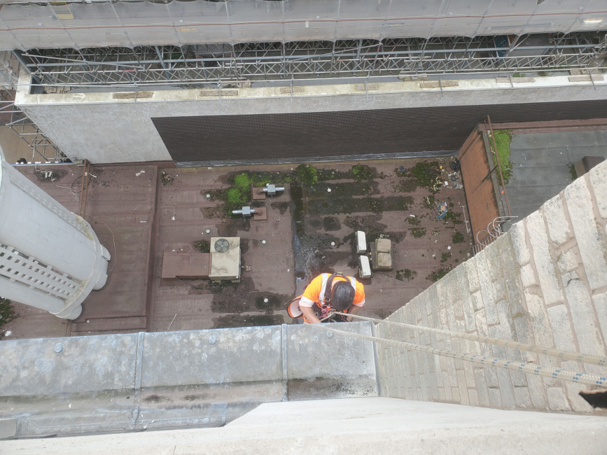 Why Choose A Z Environmental For Commercial Bird Control?