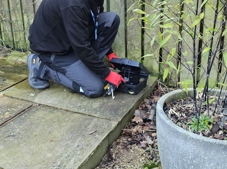 Domestic Pest Control Experts serving Stockport, Greater Manchester, Cheshire and Tameside