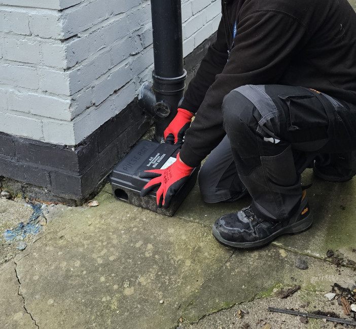 Why Choose A Z Environmental For Pest Control?