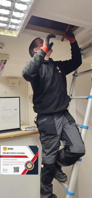 Commercial Pest Control Experts in Stockport, Manchester, Cheshire and Tameside