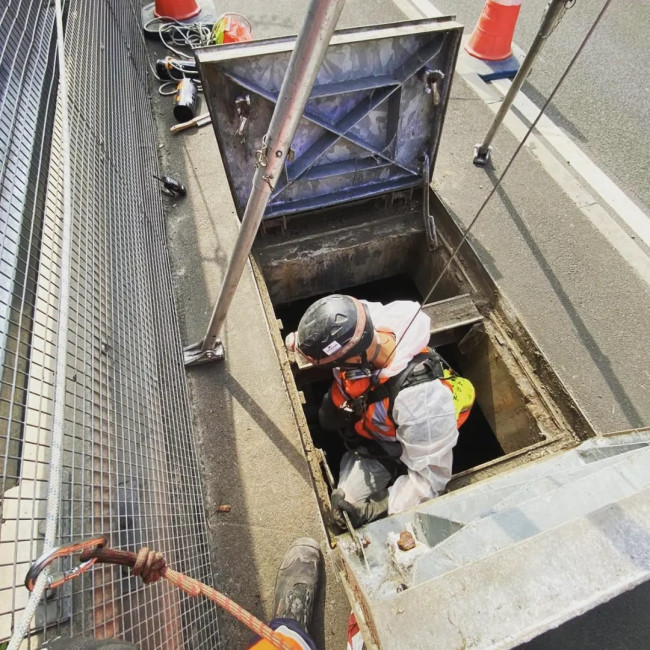 Why Choose A Z Environmental For Commercial Bird Control?