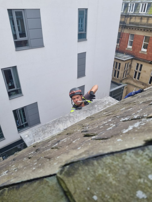 Commercial Pest Control Experts in Stockport, Manchester, Cheshire and Tameside