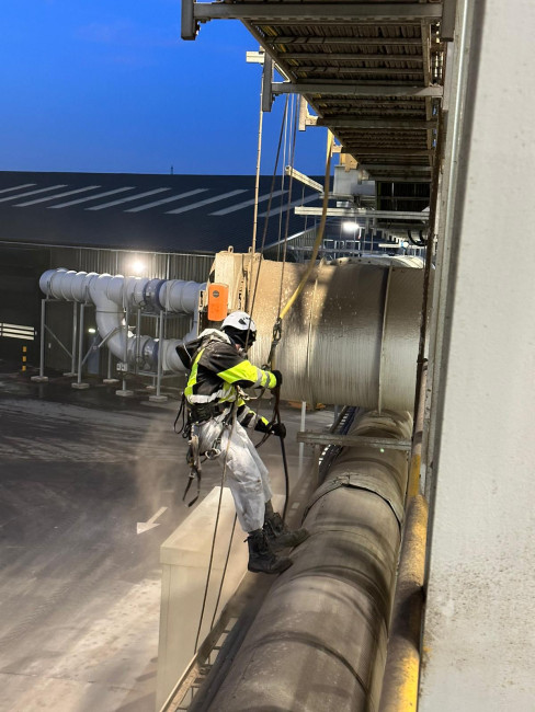 Why Choose A Z Environmental For Commercial Bird Control?