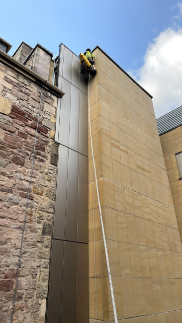 Why Choose A Z Environmental For Commercial Bird Control?