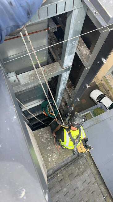 Why Choose A Z Environmental For Commercial Bird Control?