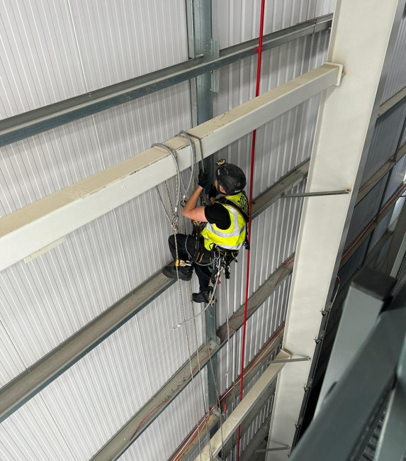 Why Choose A Z Environmental For Commercial Bird Control?