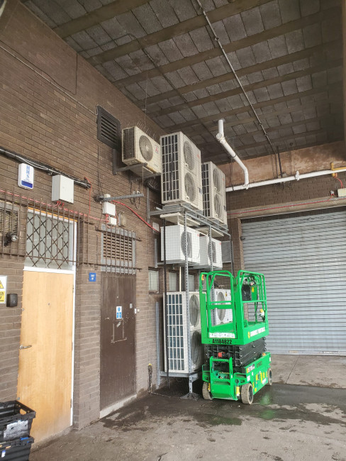 Why Choose A Z Environmental For Commercial Bird Control?