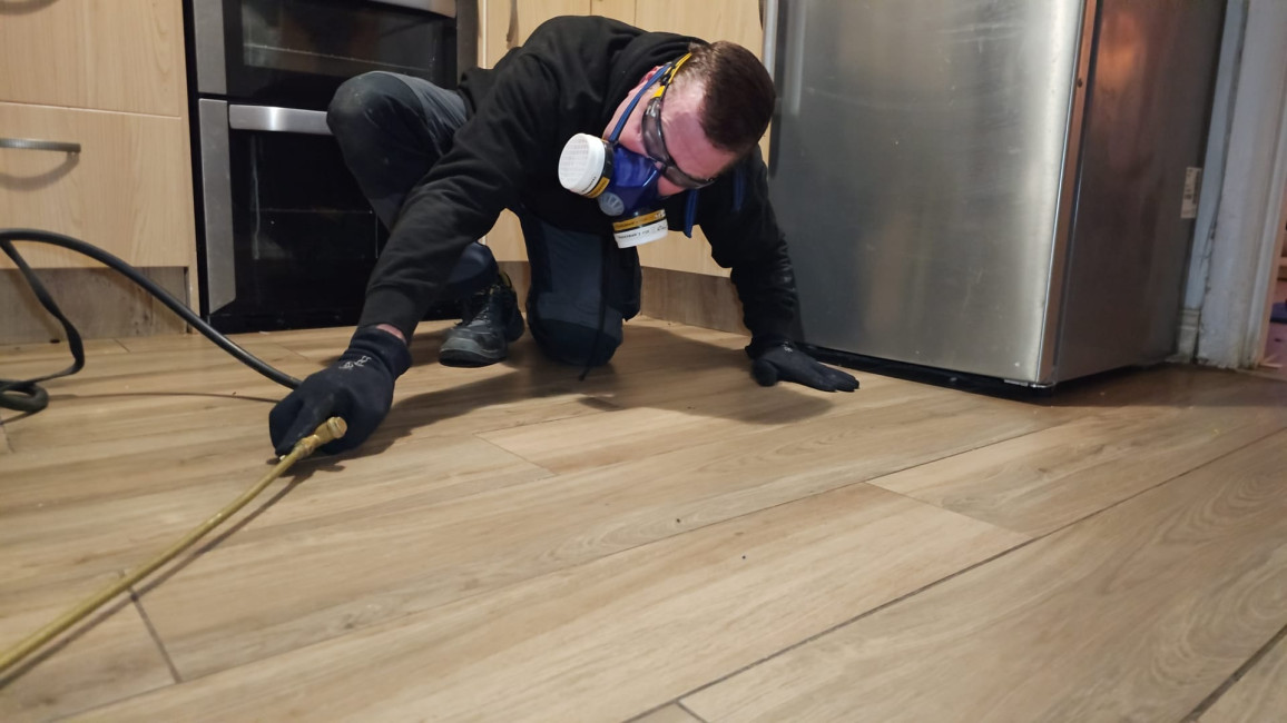 Domestic Pest Control Experts serving Stockport, Greater Manchester, Cheshire and Tameside